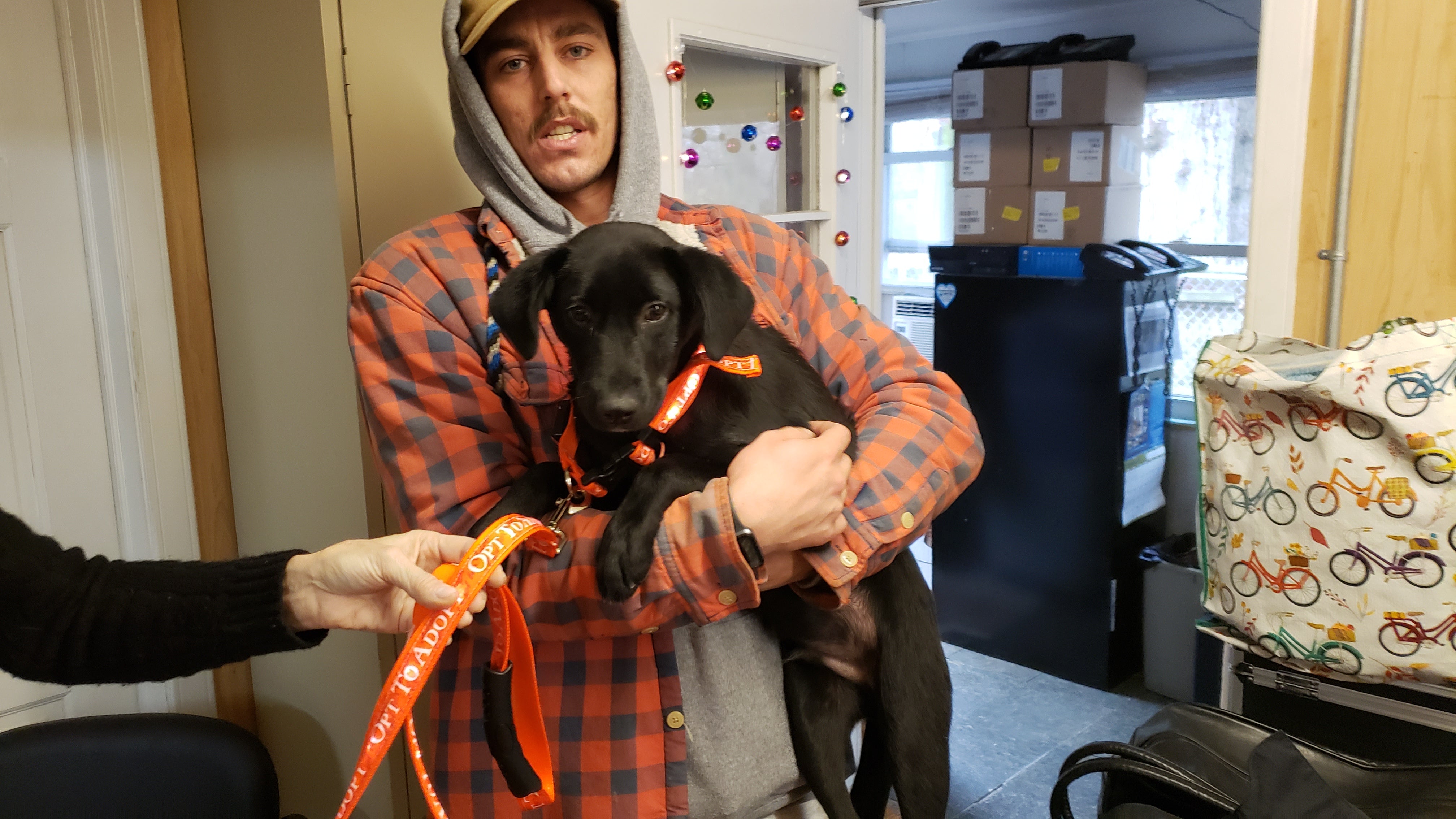 "Opt to Adopt" LED Light Up Leash