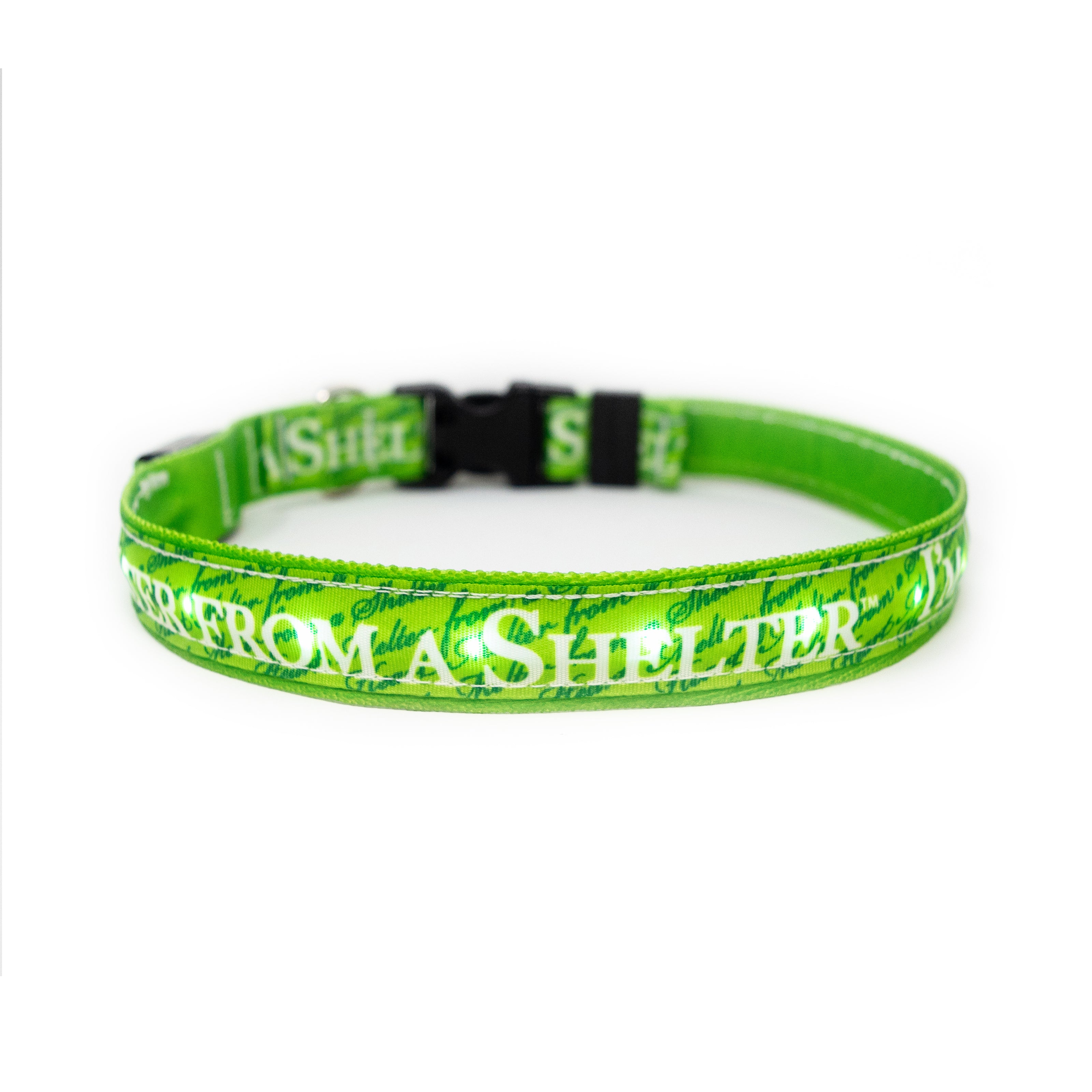"Heart Melter From a Shelter" LED Light Up Collar